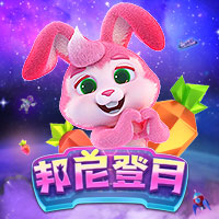 Bunny to the Moon
