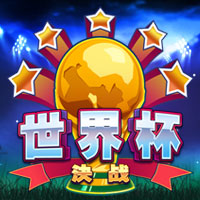 World Cup Final